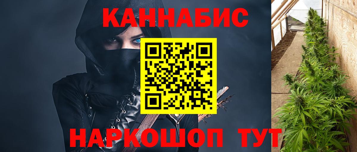Каннабис гибрид  Канабис гибрид  Алейск  Вход с VPN 